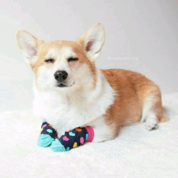 corgimart